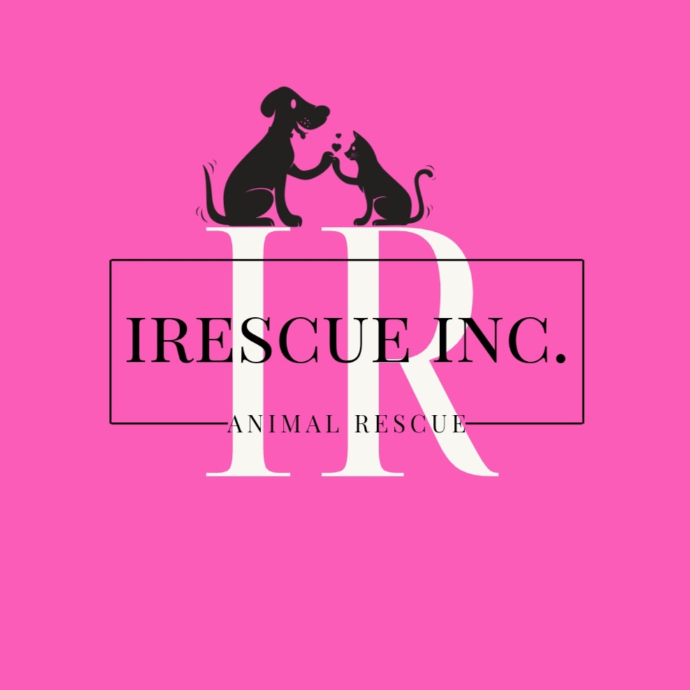 iRescue inc.